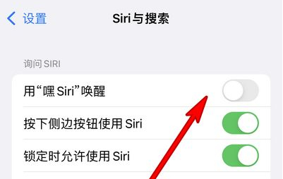 阿里苹果13维修分享iPhone 13怎么唤醒 Siri  