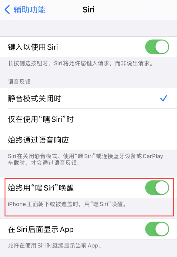 阿里苹果手机维修分享使用 iPhone 12 时 Siri 不会正常回应怎么办 