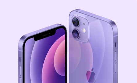 阿里苹果手机维修分享紫色版iPhone 12有什么技术亮点 