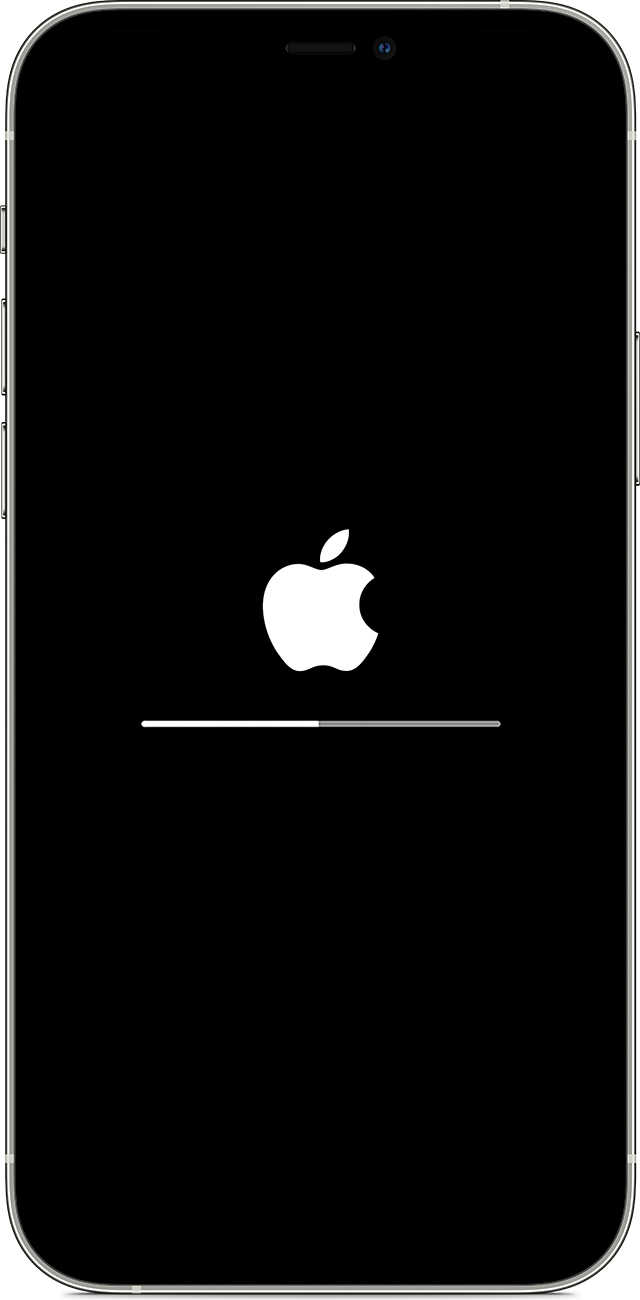 阿里苹果手机维修分享iPhone 12 无法更新系统、出现报错的解决办法 